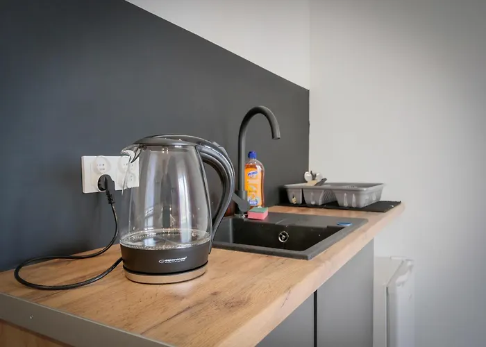 Ceglana Przytulna Kawalerka W Centrum Katowic